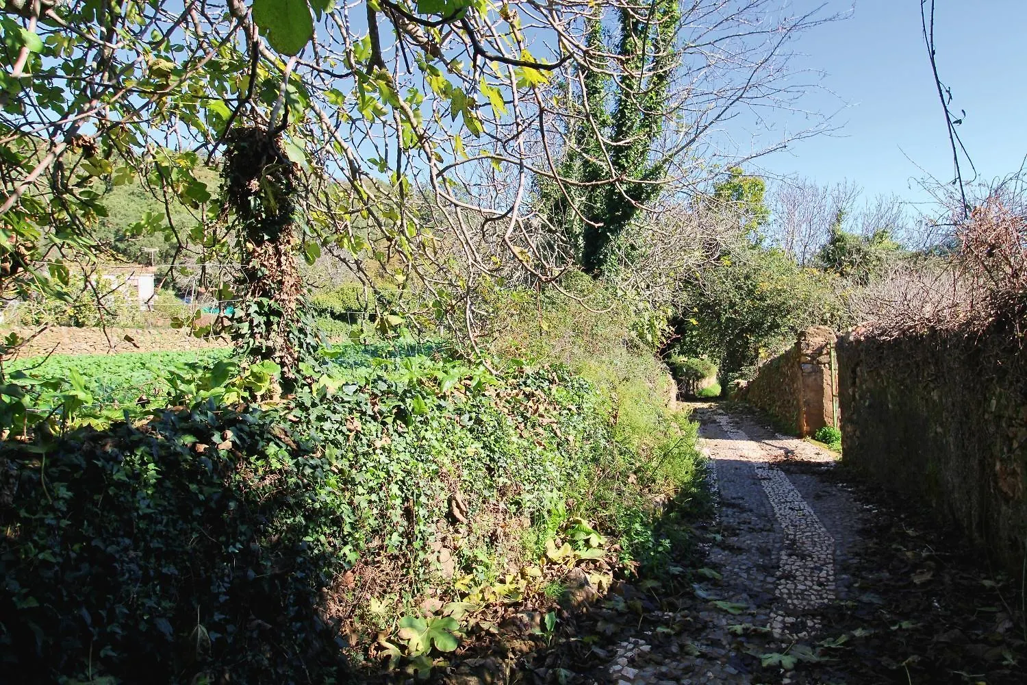 La Casita Del Bosque De Las Letras By Sierra Viva La Presa  La Presa (Huelva)